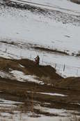 VDR Hare Scramble 17 JAN 2010
 - photo 75 
