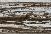 VDR Hare Scramble 17 JAN 2010
 - photo 235 