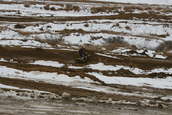 VDR Hare Scramble 17 JAN 2010
 - photo 239 