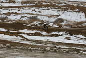 VDR Hare Scramble 17 JAN 2010
 - photo 241 
