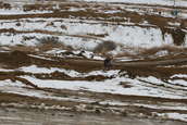 VDR Hare Scramble 17 JAN 2010
 - photo 242 