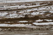VDR Hare Scramble 17 JAN 2010
 - photo 262 