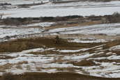 VDR Hare Scramble 17 JAN 2010
 - photo 281 